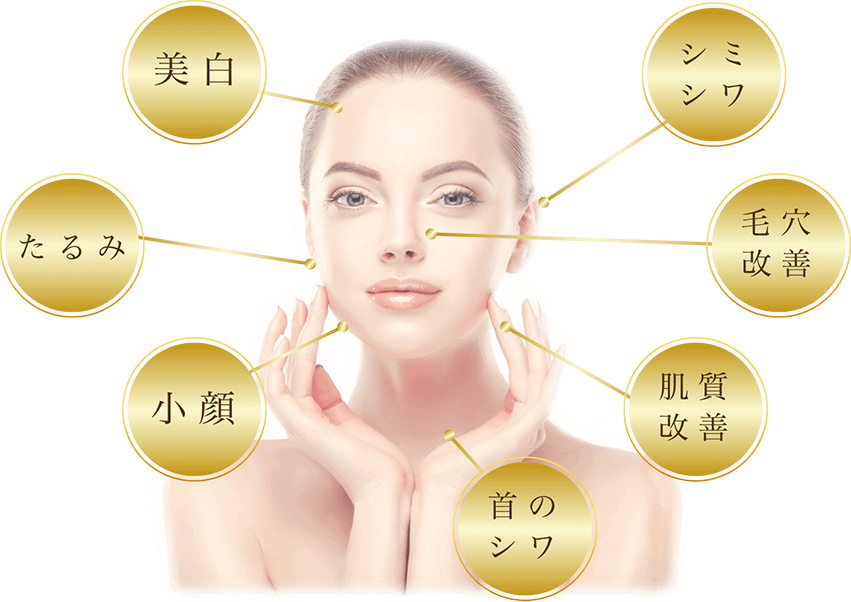 クレオパトラハイフ